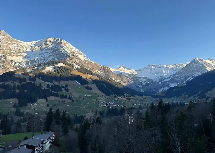 Zentrumsnahe Mit Blick Appartement Adelboden